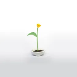 Polypod - Polygon flower pod