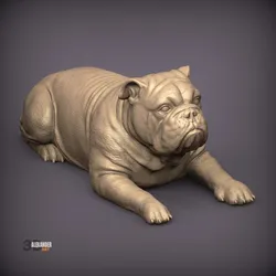 English Bulldog STL for 3D Printing | Realistic Bulldog Sculpture | Printable Dog Figurine