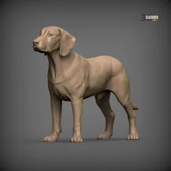 Posavac Hound STL for 3D Printing | Realistic Croatian Hunting Dog Sculpture