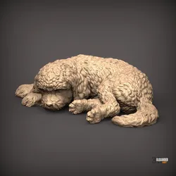 Sleeping Cockapoo Dog STL for 3D Printing | Realistic Puppy Sculpture | Printable Pet Figurine