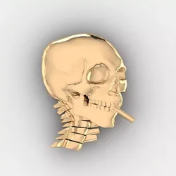 Skull 15 3D print model