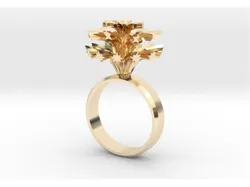 Fireworks ring
