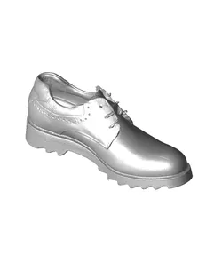 Leather shoe (generated by Revopoint POP)