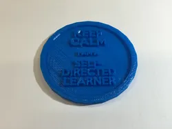 Self Directed Learner