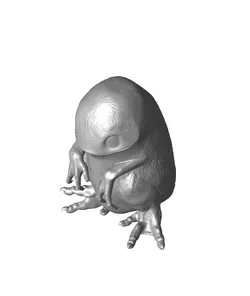 CRITTER Variant