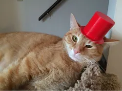 Pet Top Hat (Scale up ten)