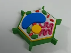 Plant Cell Model - Free 3D Print Model