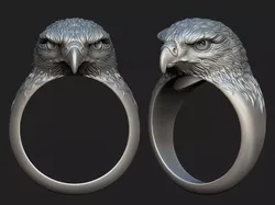Hawk ring  3D print model