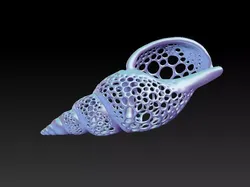 Shell with holes 3D print model