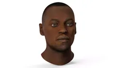Adult African Male Head 3D model
