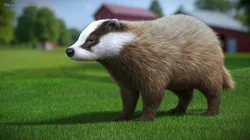 Badger Brown Fur Rigged 3D model