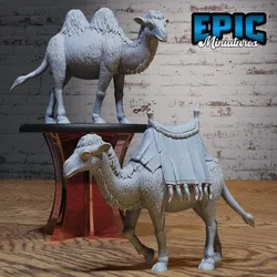 Camel Set ‧ DnD Miniature ‧ Tabletop Miniatures ‧ Gaming Monster ‧ 3D Model ‧ RPG ‧ DnDminis ‧ STL FILE‧ DnD Miniature ‧ Tabletop Miniatures ‧ Gaming Monster ‧ 3D Model ‧ RPG ‧ DnDminis ‧ STL FILE