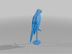 Macaw