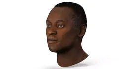 Middle Aged African Male Head Fur 3D model