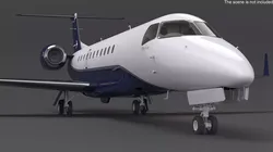 Private Jet Aircraft 650E with Cabin Rigged for Cinema 4D 3D model
