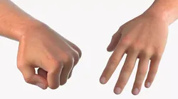 Realistic Male Arm Pair Rigged for Cinema 4D 3D model
