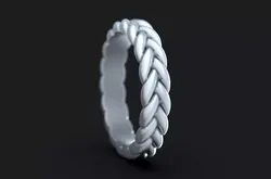 Braid Ring 3D print model