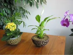 Guardians of the Galaxy Plant Pot