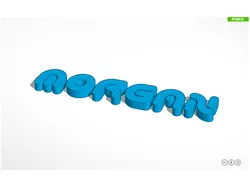 Morgan
