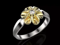 Ring flower  3D print model