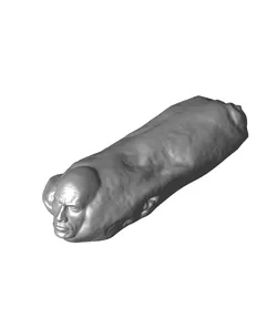 Rockrrito (The Rock + Taco Bell Burrito)