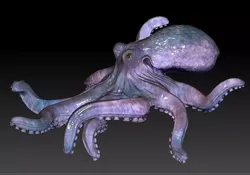 Octopus  3D print model