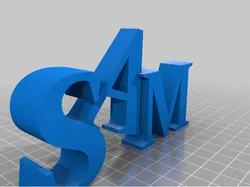 SAM 3D