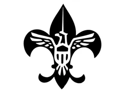 BSA logo