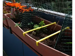 Flowerbox adapter