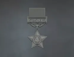 Nishan A Haider military medallion 3D print model