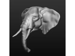 elephant head
