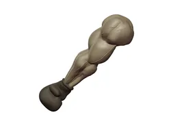 Boxer's Arm
