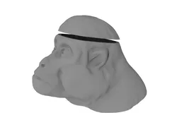Monkeybrain on Ice