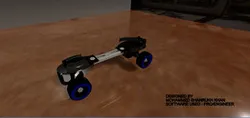 ROLLER SKATES