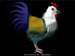 Rooster