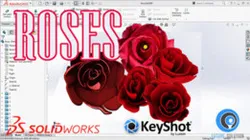 Roses 'Flower'