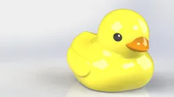 Rubber Duck