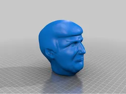 Trump Head
