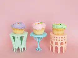 Cupcake Holders