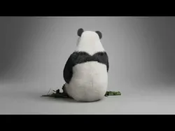 Panda Animation Vfx Grace 3D model
