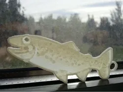 Trushoo keychain