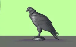 Andean Condor Bird Sculpture Peru 3D print model