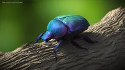 Bright Carapace Scarab Blue Fur for Cinema 4D 3D model
