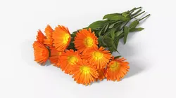 Calendula Flower Bouquet with Leaves Orange Fur 3D model