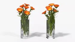 Calendula Flowers in Glass Vase with Water Orange Fur 3D model