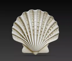 Detailed Scallop Shell Coastal Decor STL Model 3D print model