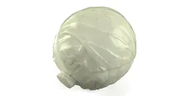 Natural White Cabbage 3D model