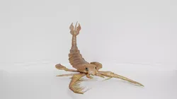 Realistic Jaekelopterus Creature 3D model
