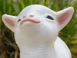 Smug goat