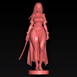 Warrior Lady